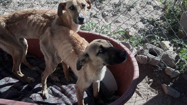 esterilizacion esterilizacion