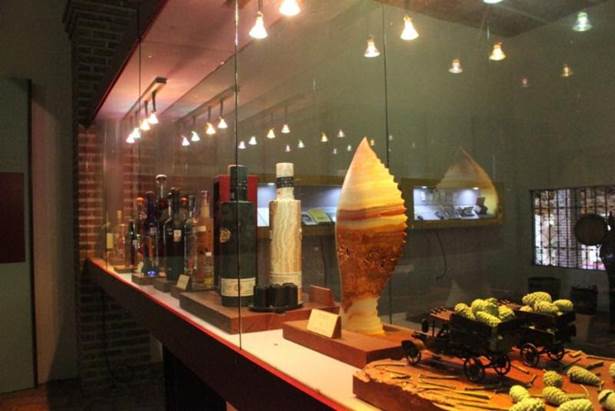 museo mezcal1 museo mezcal1
