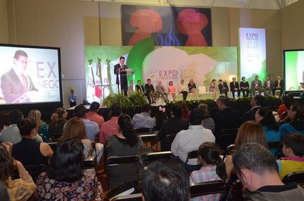 expo-negocios-2014-6