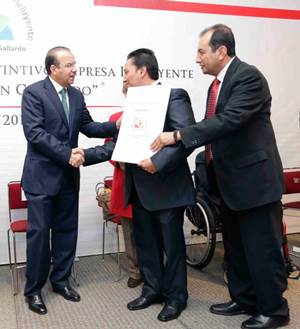 distintivo-rincon-gallardo distintivo-rincon-gallardo