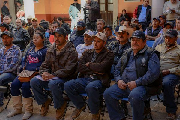 apicultores-Fresnillo