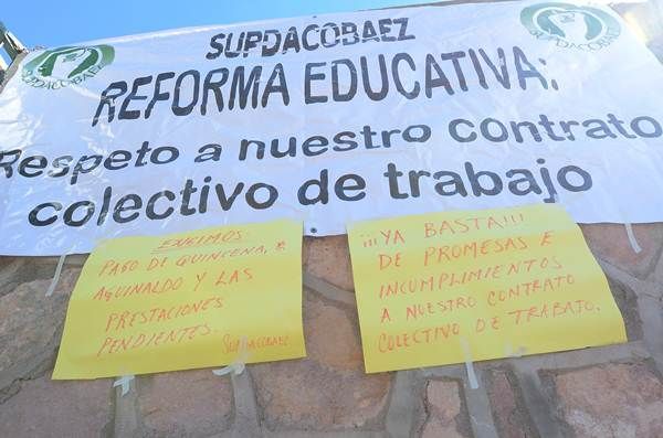 cobaez-4