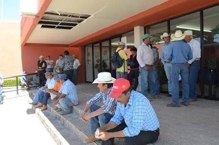 campesinos-cfe-1