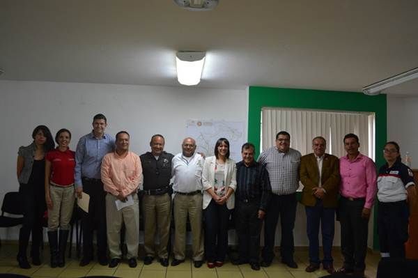 transito transito