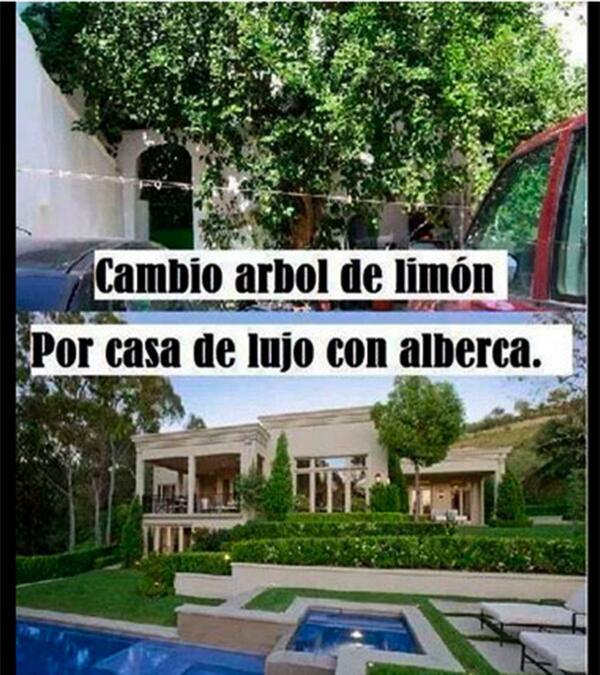 limon-4