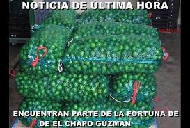 limon-8