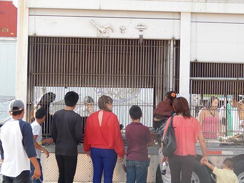 protesta-circo-zacatecas