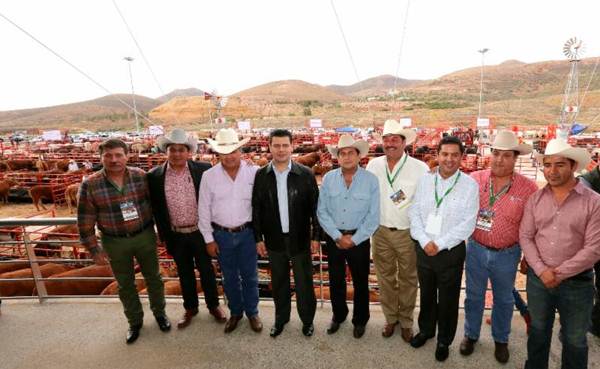 alonso-ganaderos alonso-ganaderos