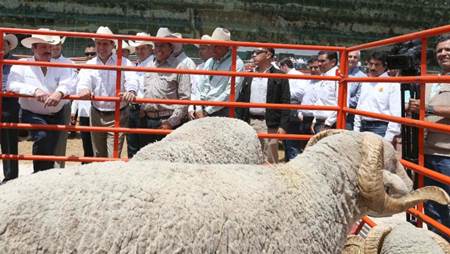 cierre-convencion-ganadera