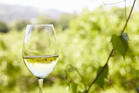vino-blanco