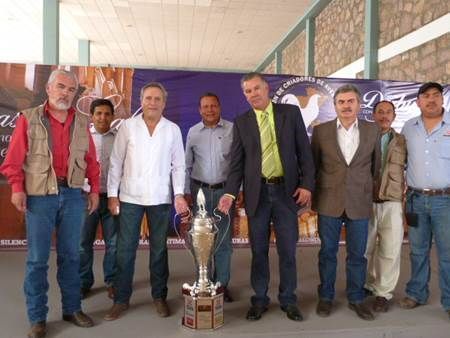 gallos-2