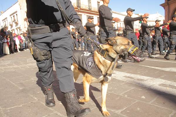 desfile-revolucion-2
