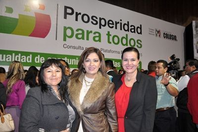 pri-consulta-1