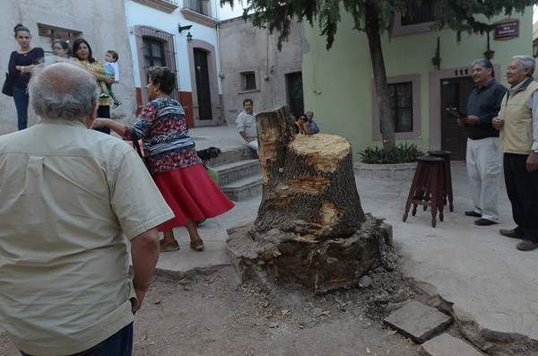barrio-sacayetano-3