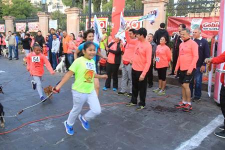 carrera-perros-1