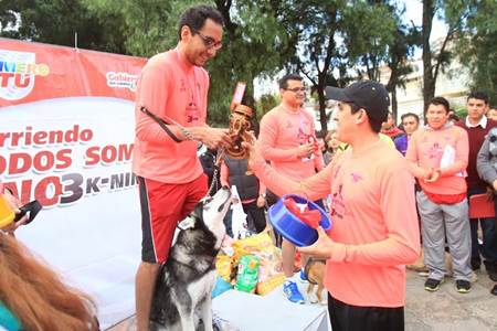 carrera-perros-3