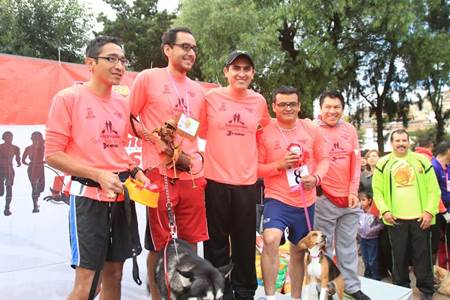 carrera-perros-4