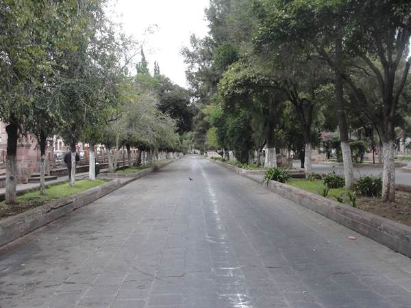 alameda-4