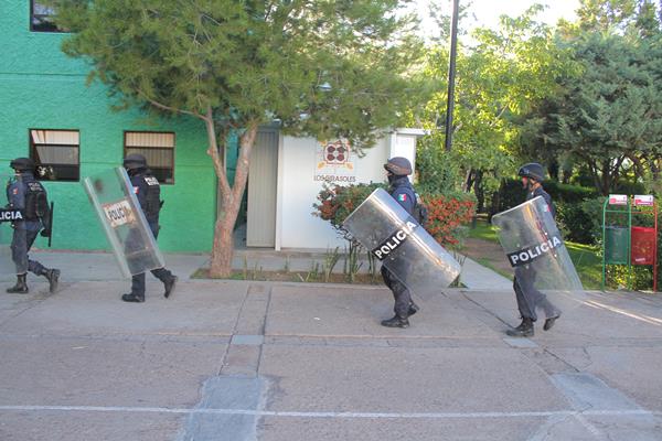 antimotines-1