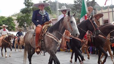 desfile-47