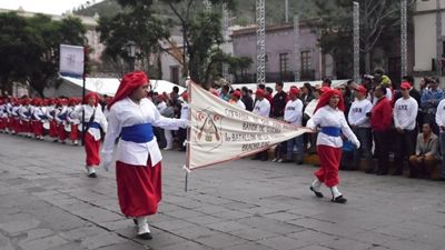 desfile-8