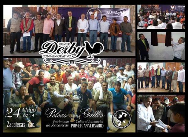 derby