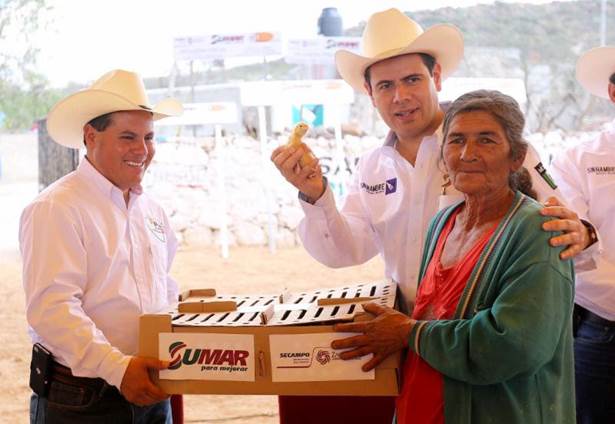 miguel-alonso miguel-alonso