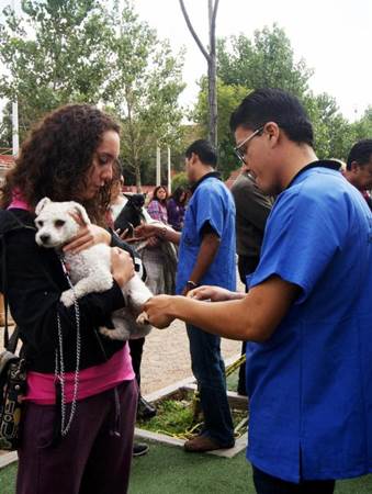 vacunacion-1