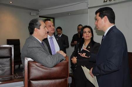 diputados