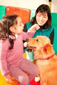 perros-autismo perros-autismo