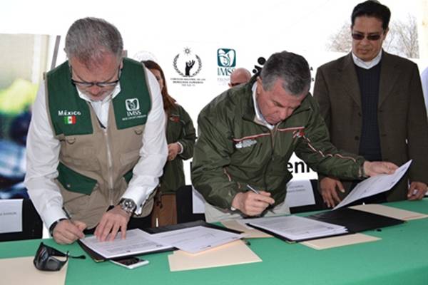 imss izea 1 imss izea 1