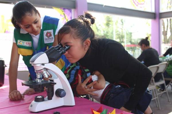 mujeres zigzag mujeres zigzag