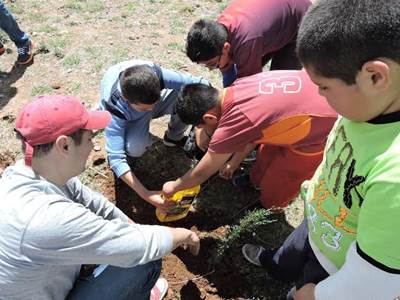 reforestacion orito 1