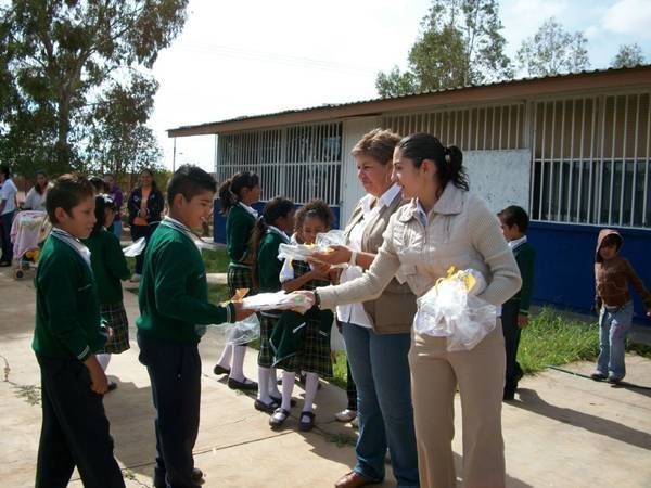 regidores-utiles-1-b09