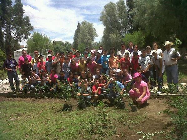 reforestacion1-306