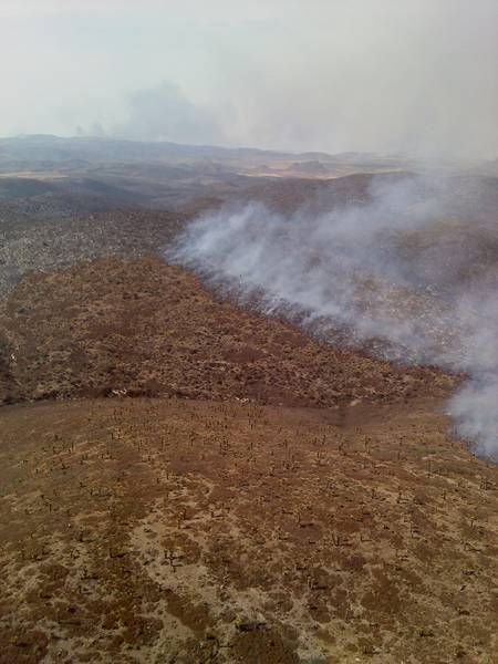 incendio3-819
