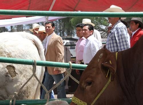 gobernador-jerez-1