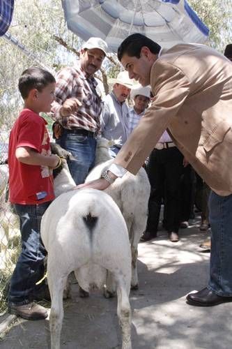 gobernador-jerez-2