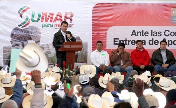 gobernador-ojocaliente2