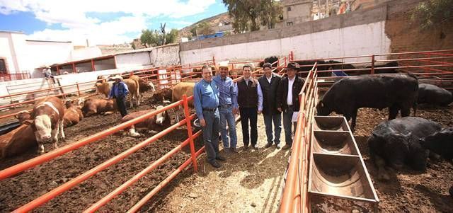ganaderos-miguel-alonso-3