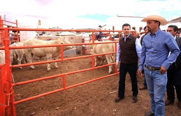 ganaderos-miguel-alonso-4 ganaderos-miguel-alonso-4