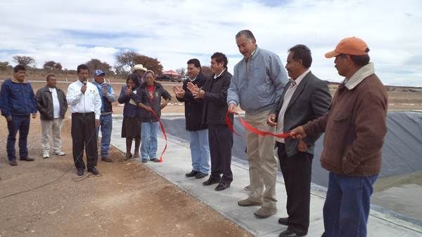 planta-sainalto2