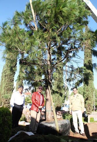 jardin-guadalupe-zacatecas1