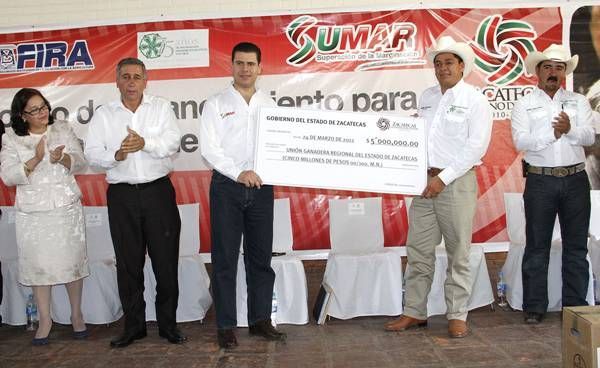 gobernador (2) gobernador (2)