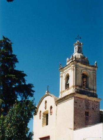 pinos-3