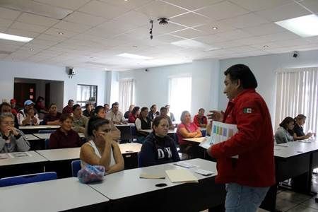alimentos alimentos