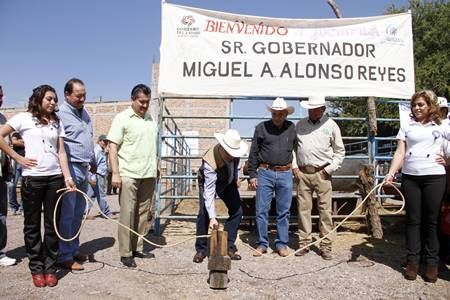 miguel-alonso-ganado