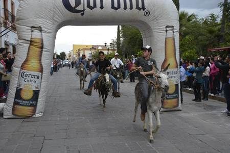 carrera-burros-11