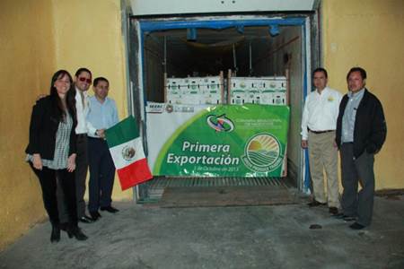 pepino-33