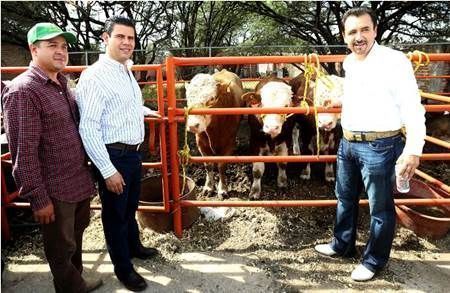 miguel-alonso-villanueva-1 miguel-alonso-villanueva-1